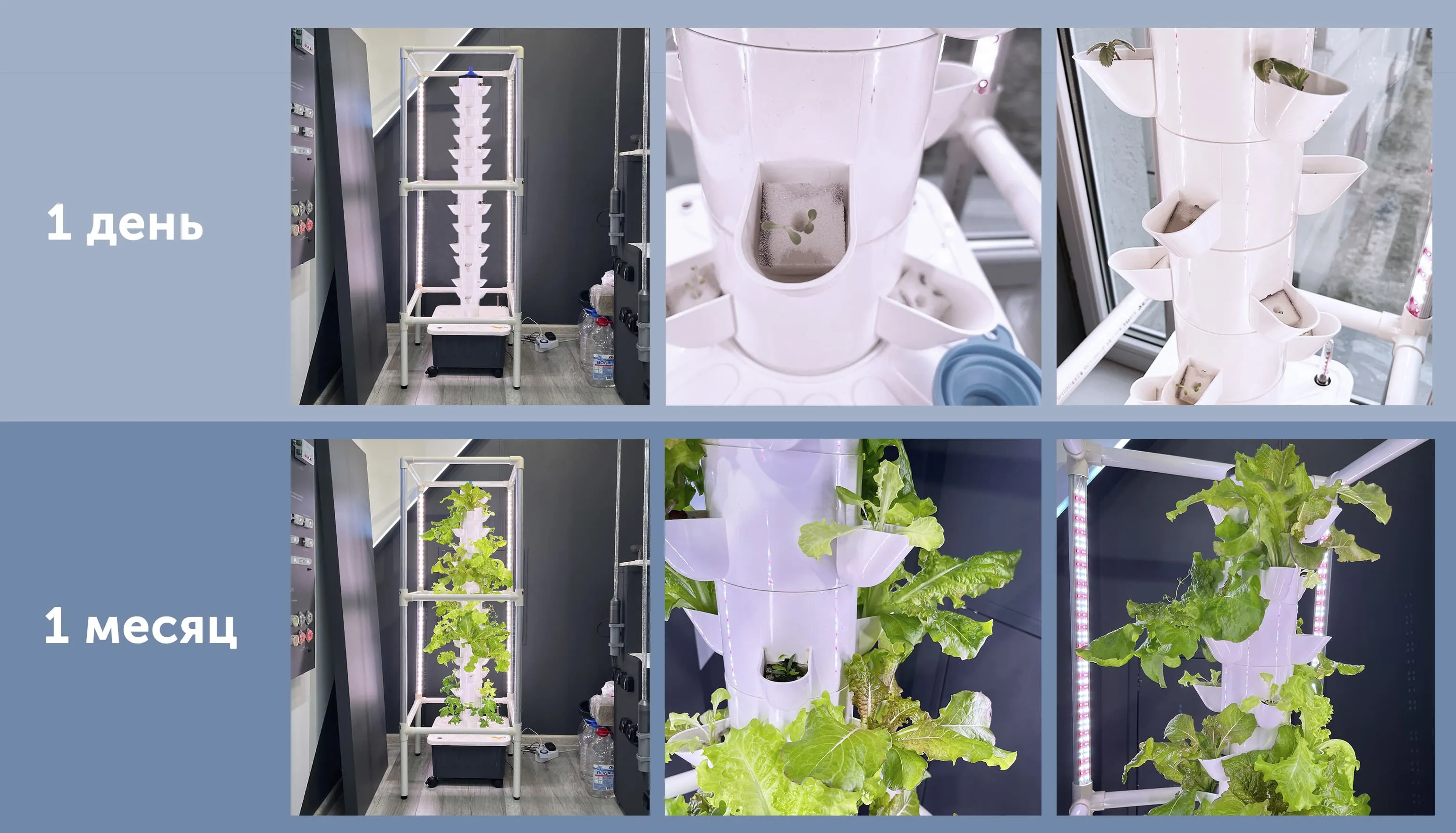 AeroFarm - аэропонная установка - Выращивание растений на гидропонике.